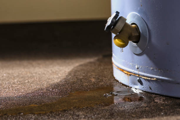 Best Commercial water damage restoration  in Green Park, MO