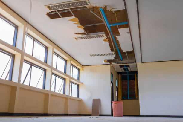 Trusted Green Park, MO Water damage restoration Experts