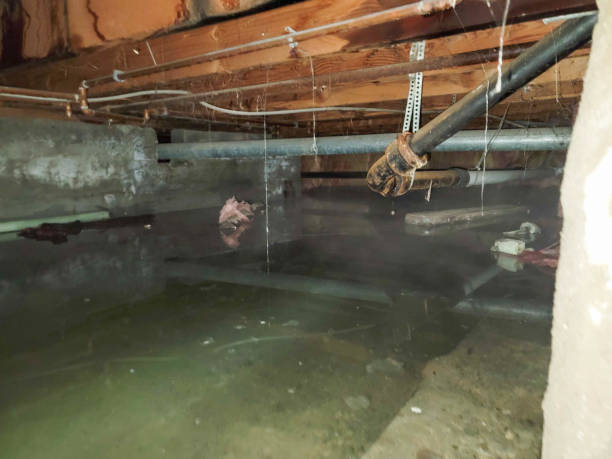 Water damage restoration process in Green Park, MO