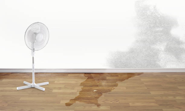 Best Basement water damage restoration  in Green Park, MO