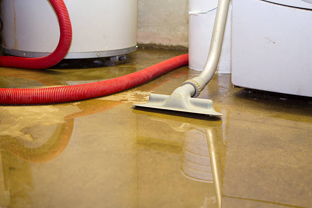 Carpet water damage restoration in Green Park, MO
