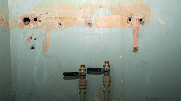 Best Professional water damage repair  in Green Park, MO