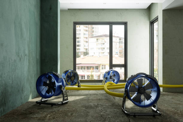Best Fire Damage Restoration  in Green Park, MO